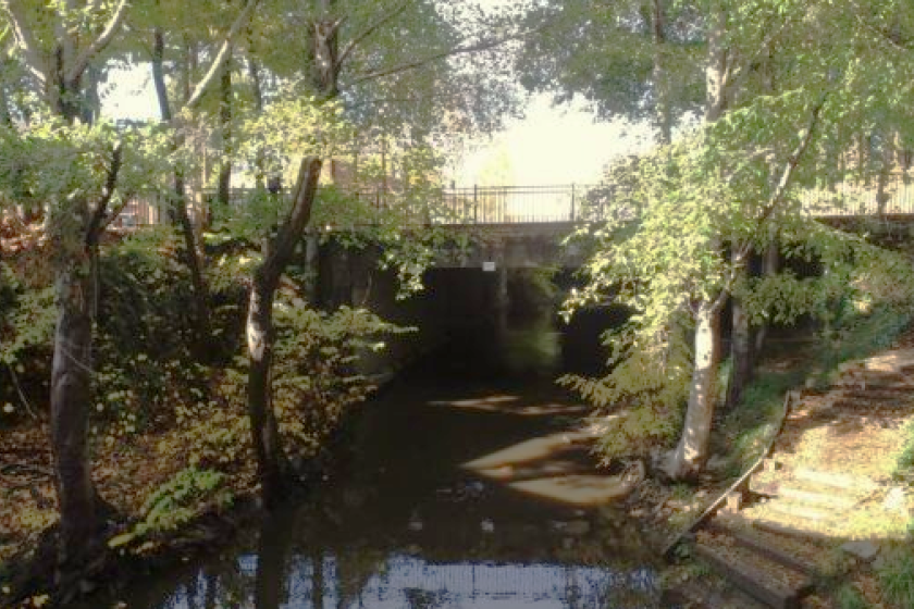 Shaded creek running under a concrete bridge, surrounded by trees and a leaf-covered embankment.
