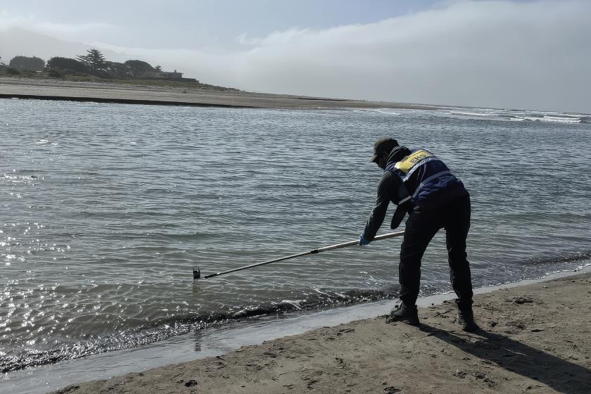 A technician sands on a beach and reaches a long pole into bay waters to retieve a test sample