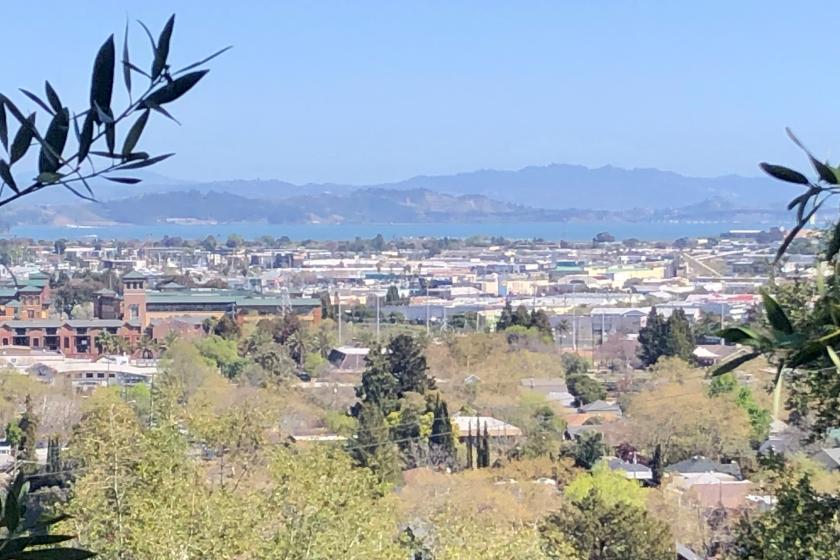Downtown San Rafael seen from a hilltop