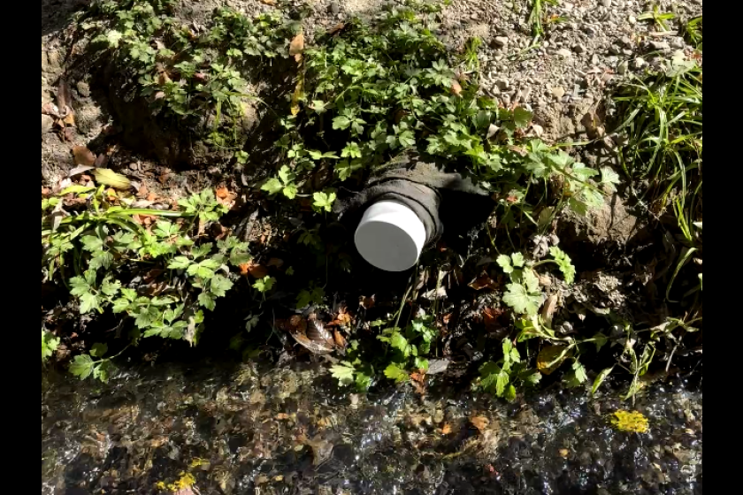 Horizontal photo of the leaking pipe that The County of Marin’s Environmental Health Services capped on Friday.