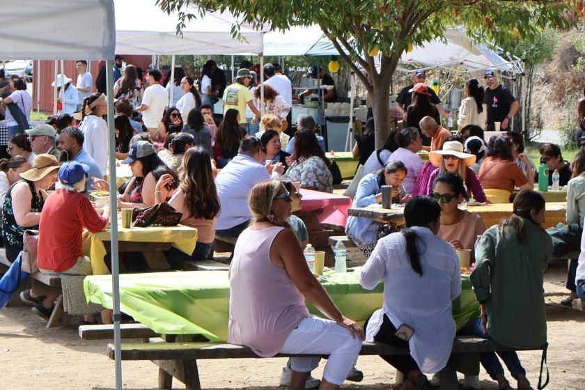 Several dozen people sit on picnic benches and have lunch at a park.