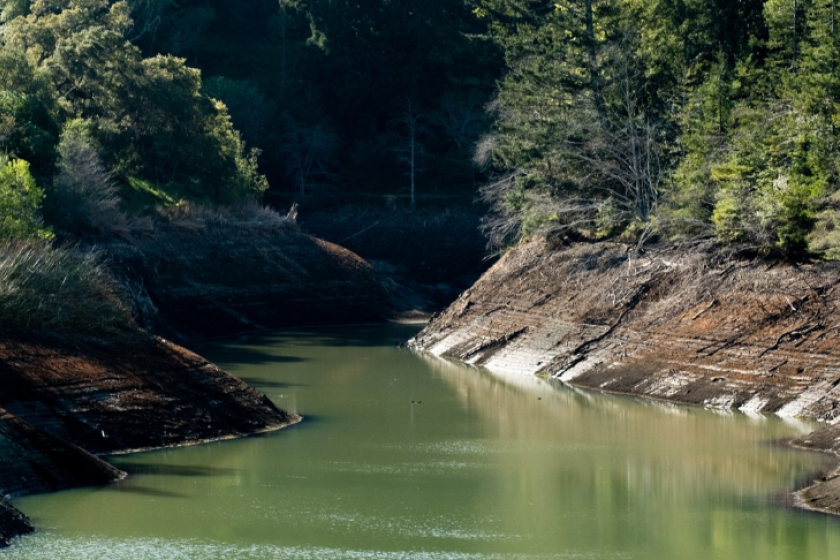 Portrait shot of Phoenix Lake