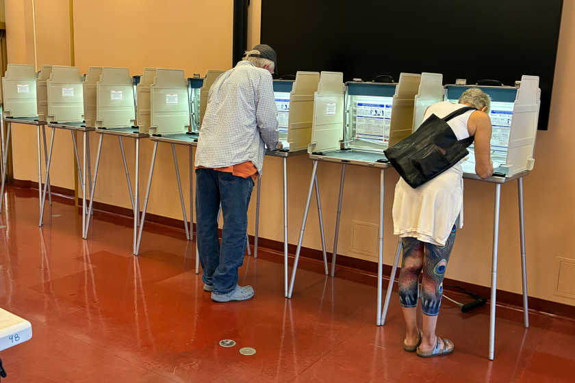 Two people casting ballots in a row of voting booths