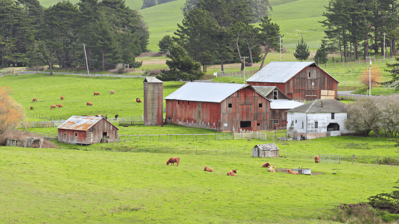 District 4, County of Marin, Inland Agricultural - Getty Image