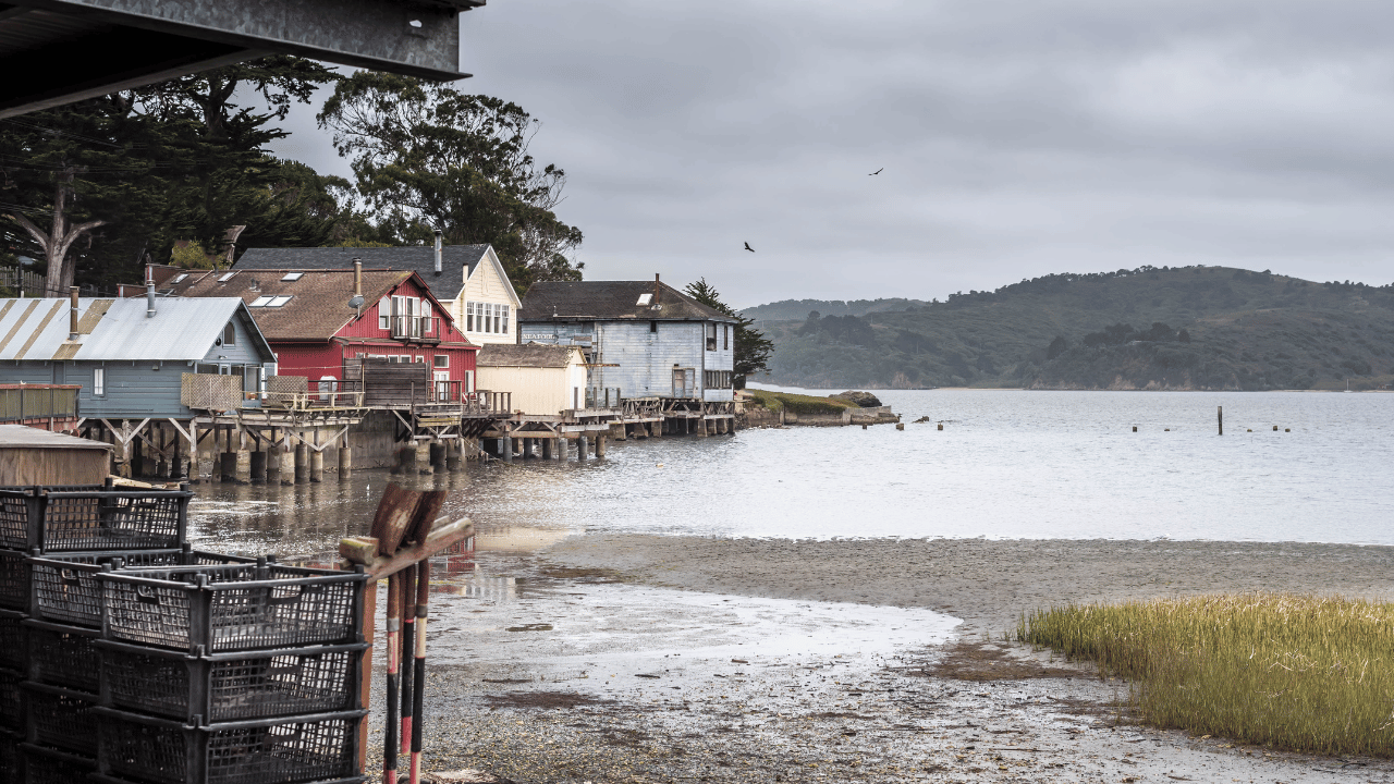 County of Marin, District 4, Marshall (Getty Image)
