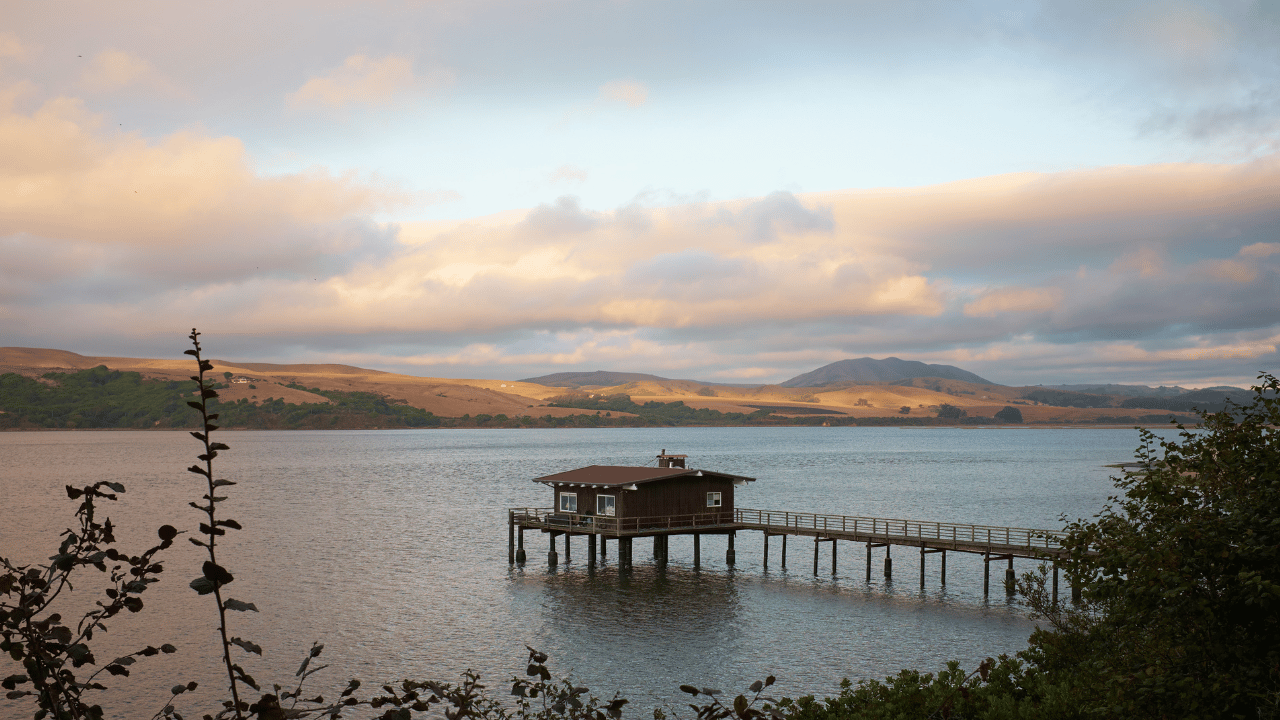 County of Marin, District 4, Inverness (Getty Image)