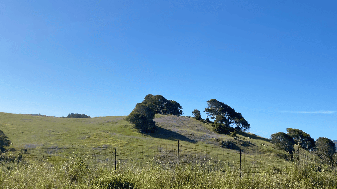 County of Marin, District 4, Olema © Morgan Patton