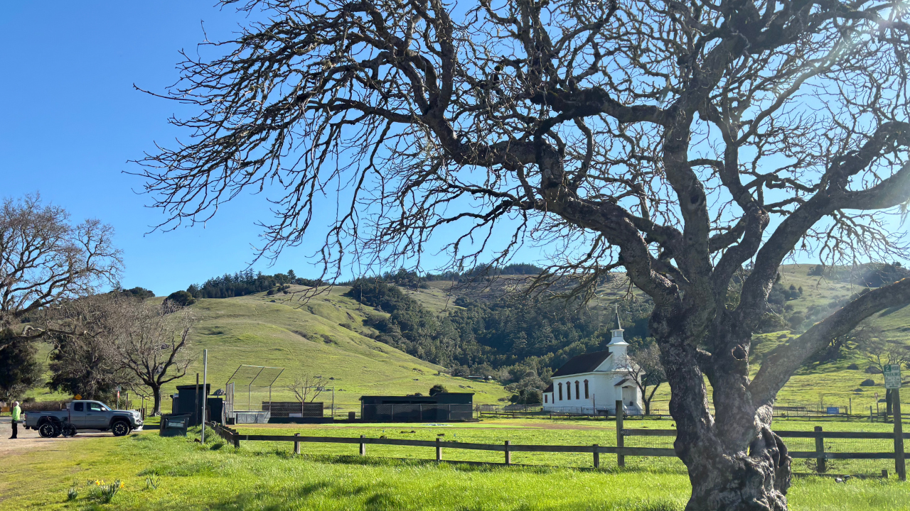 County of Marin, District 4, Nicasio ©Morgan Patton