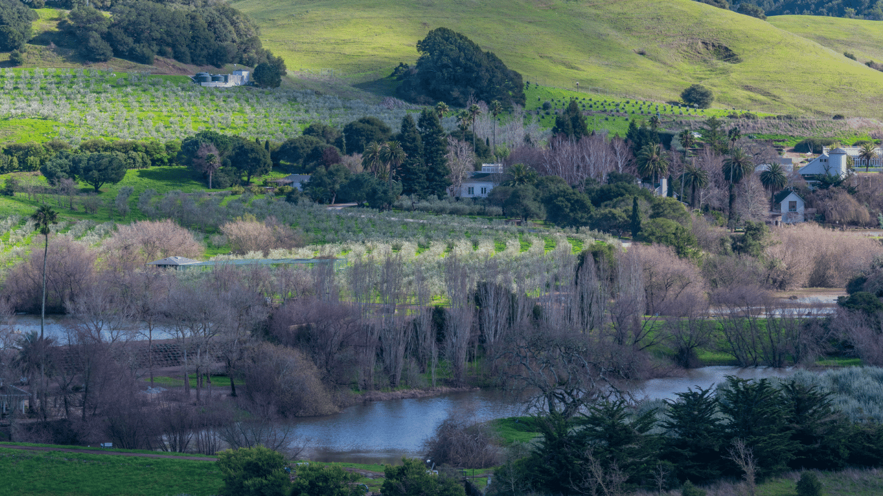 District 4, County of Marin, Agricultural ©Getty Image