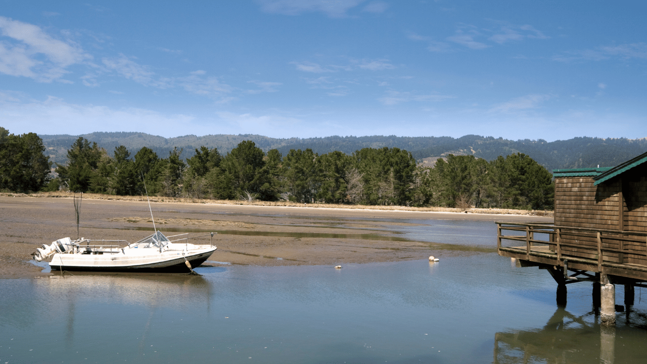 County of Marin, District 4, Bolinas ©Getty Image