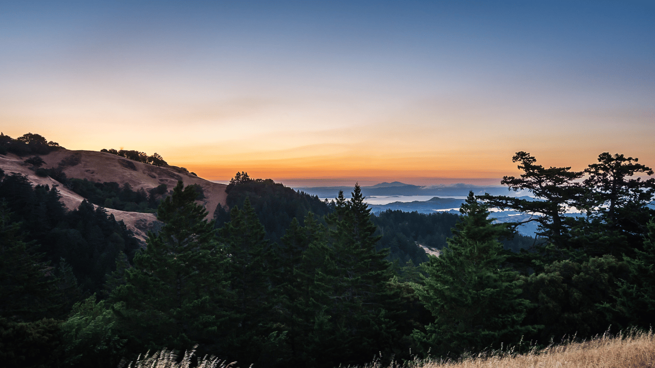 A landscape at sunset, with Mount Tamalpais and trees in the foreground and ocean waves in the background.