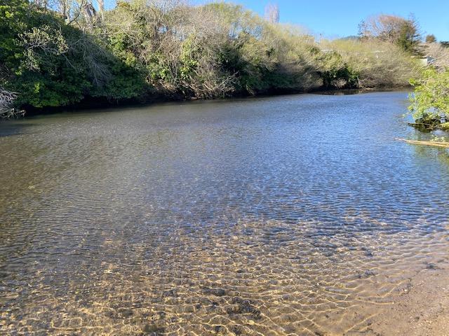 Whitehouse Pool water sampling location Marin County.