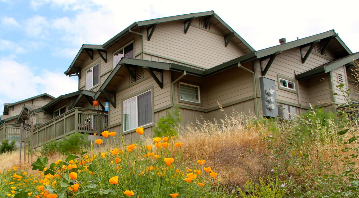 Multi-story house on a hill with a back deck and poppies showing in the foreground.
