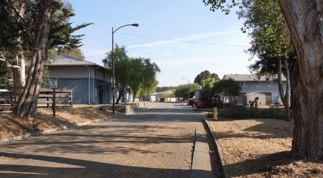 Tree-lined roadway with existing former Coast Guard housing on each side.