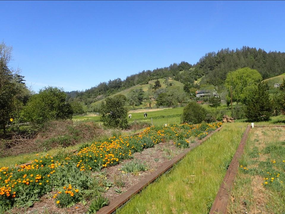 view of San Geronimo landscape