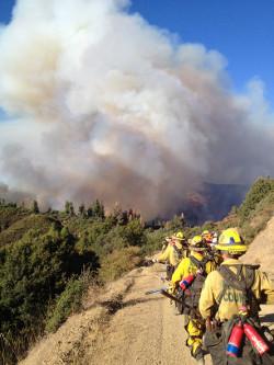 The Tamalpais Fire Crew fighting a wildfire. A line of people in yellow fire suits approach a smokey fire. 