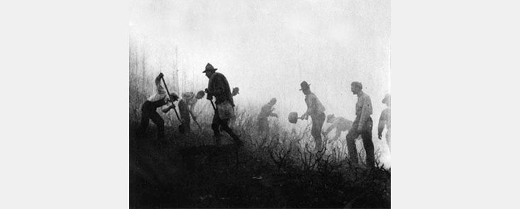 A crew of eight firefighters works with hand tools in low brush to put out a fire. Black and white photo.