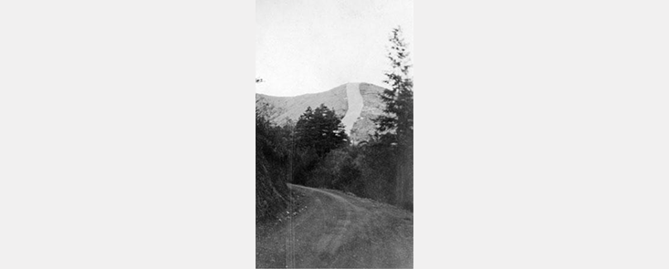 A road cuts through a wooded mountain, with trees in the foreground. Black and white photo.