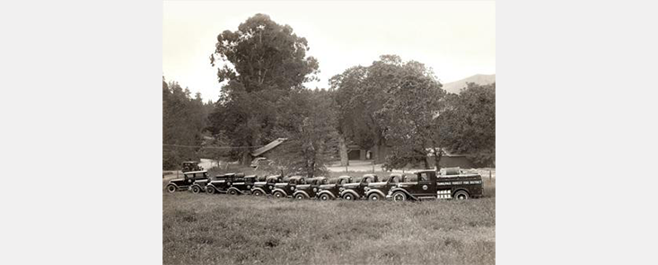 A line of 11 fire trucks, trees in background. Black and white photo.