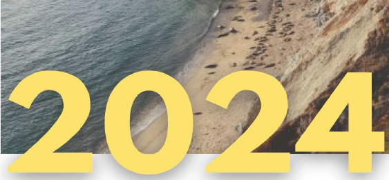 The year 2024 against a beach back drop.