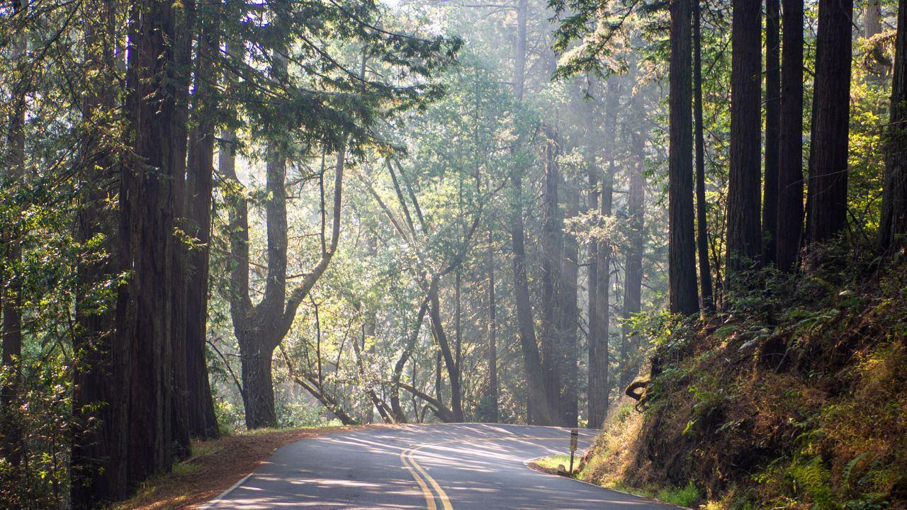 County of Marin, District 4, Panoramic Highway ©Getty Image