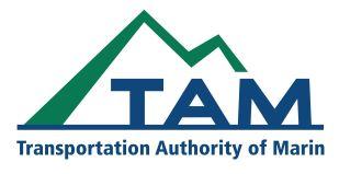 TAM Logo