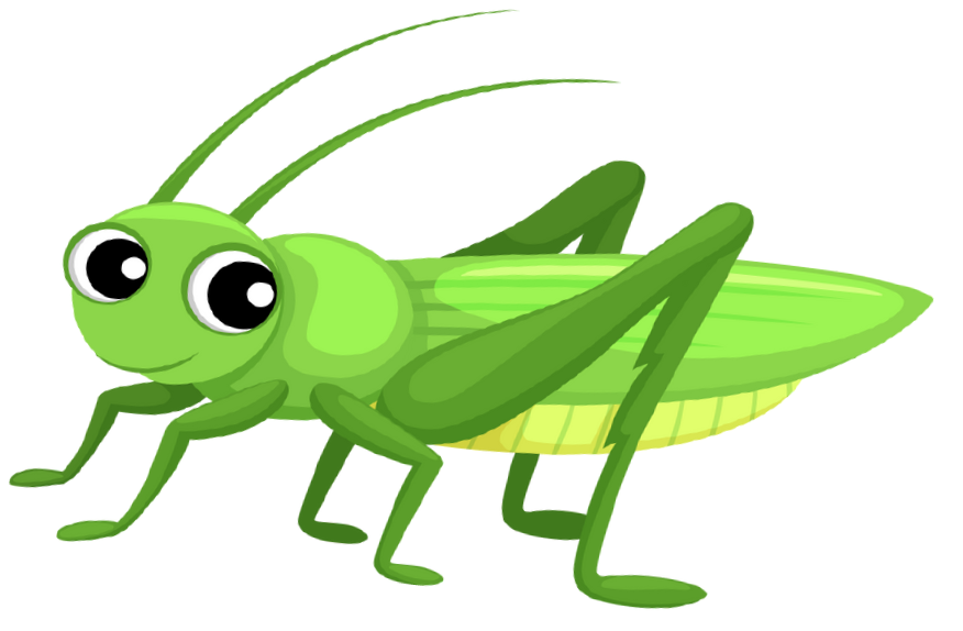 Candidate Grasshopper.