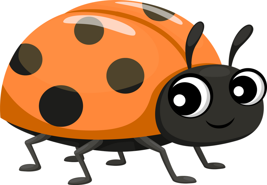 Candidate Ladybug.