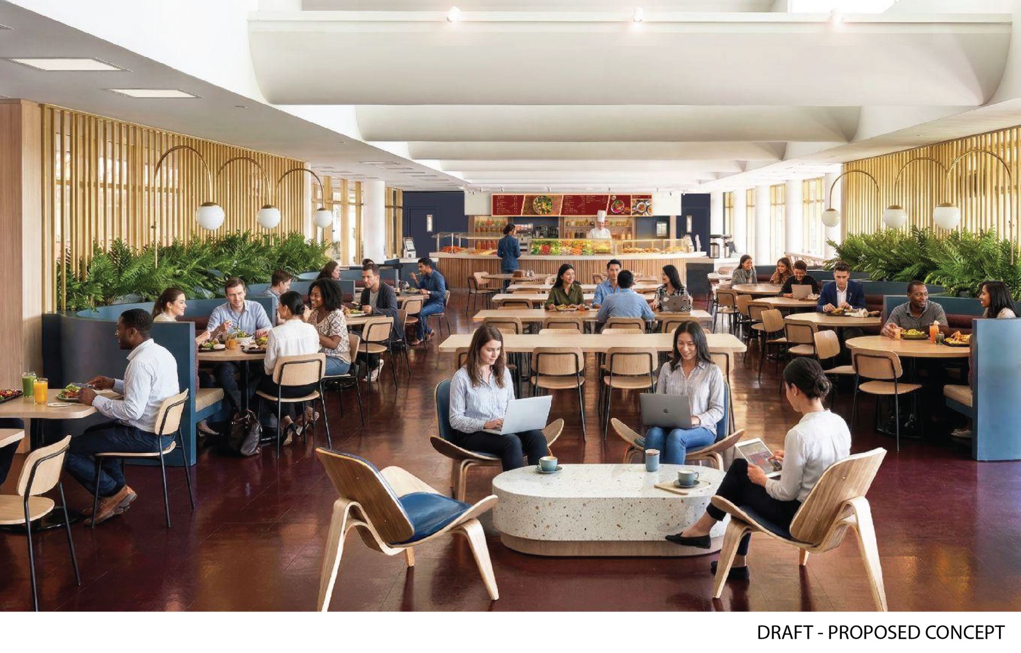 Cafe Draft Proposal Render
