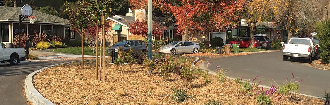 A peaceful neighborhood street