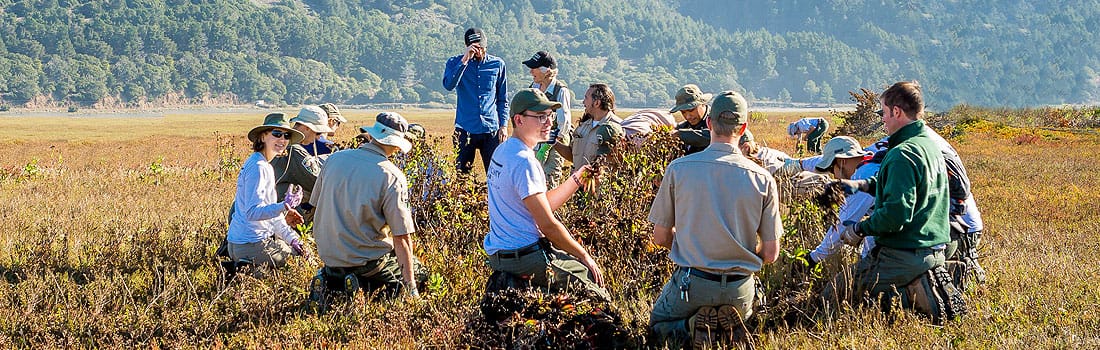 Group of Marin County Park employees working in a field