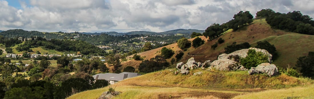 Mountain landscape with homes in the background.