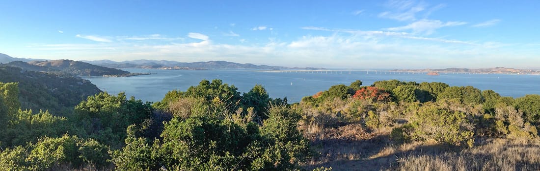 Ridge top views of the bay bridge.