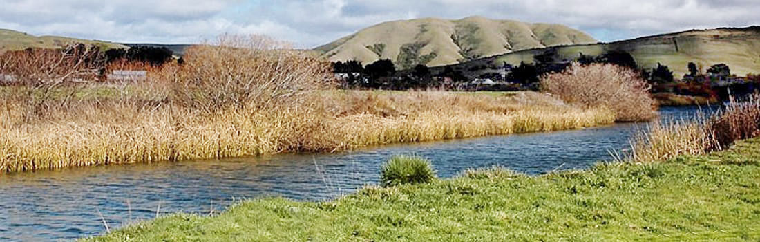 Creek area with vegetation and mountains.