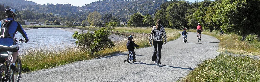 Walkers and bikers enjoying a pathway.