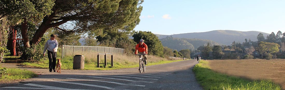 Bikers and walkers sharing a path.