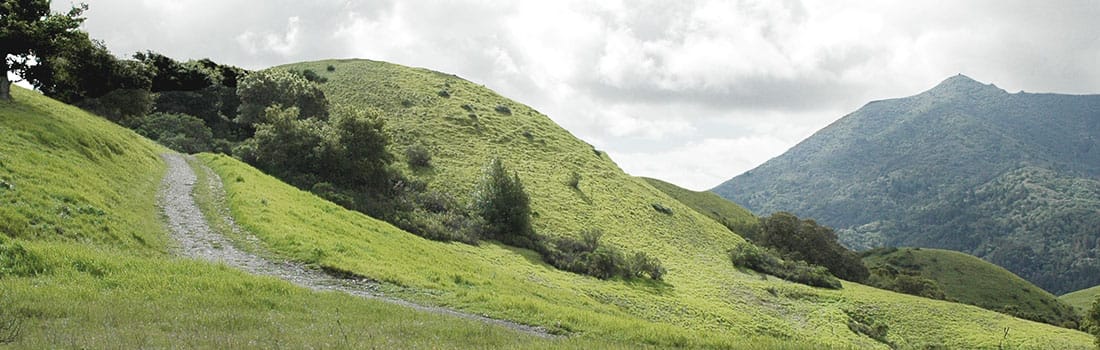 Green slope of Bald Hill below foggy clouds