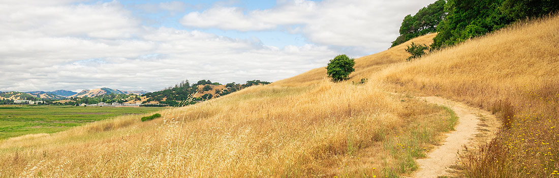 Deer Island trail with blue sky background