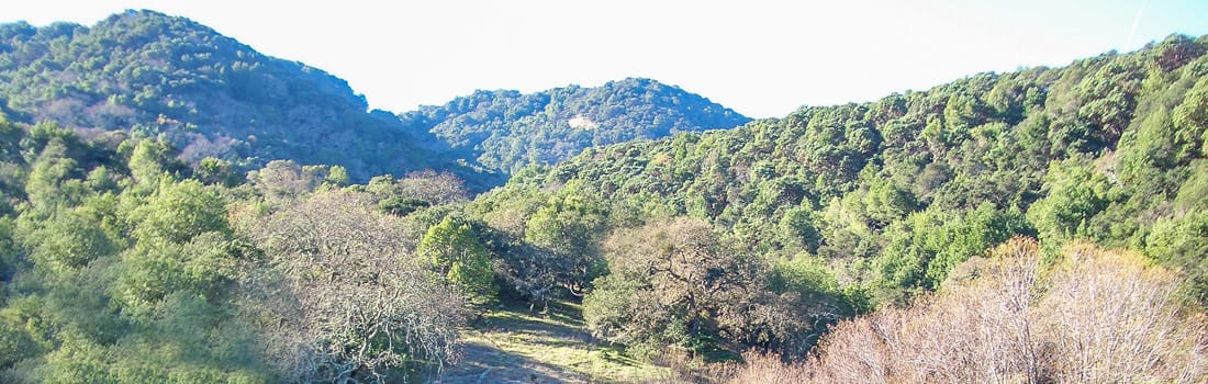 Forested hills of Indian Valley in the sunshine