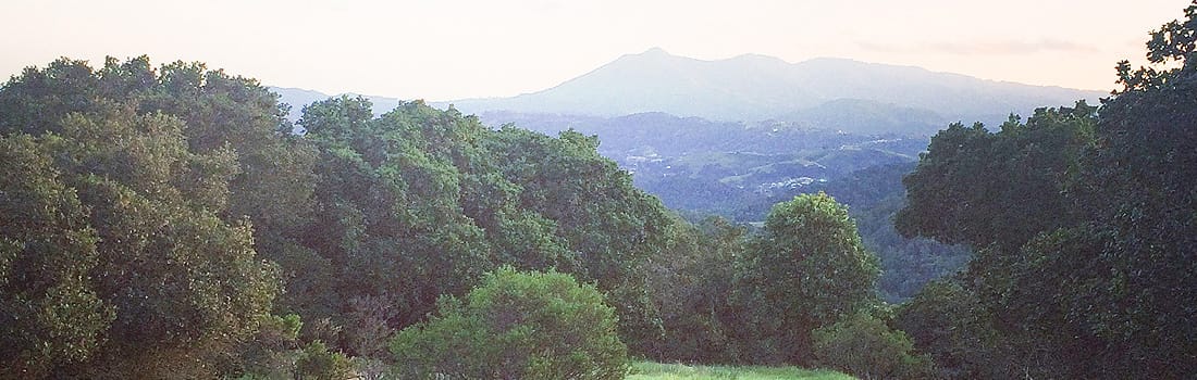 Foggy, forested hills of Loma Verde Preserve