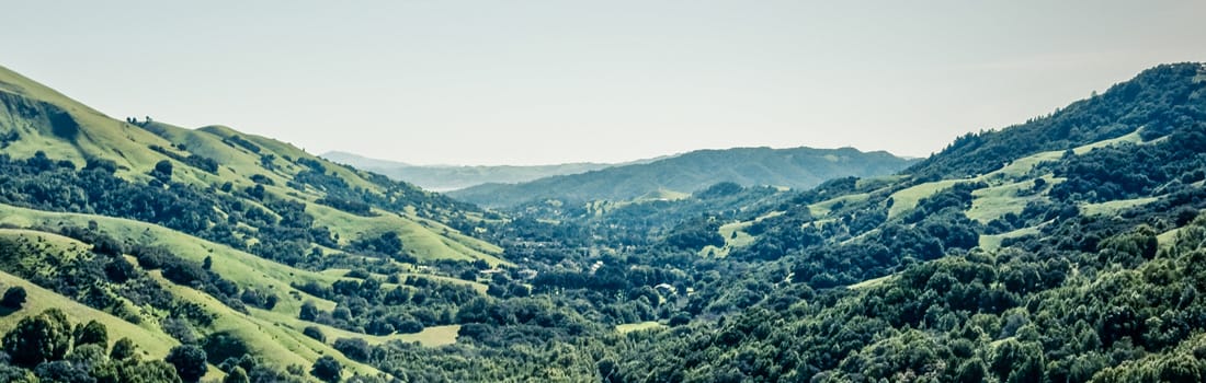 Aerial view of oak woodlands in the Lucas Valley hills