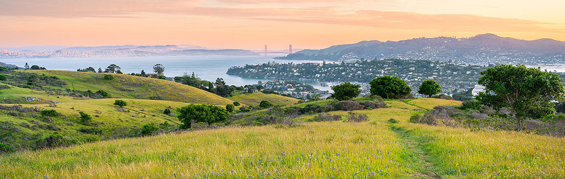 Scenic view over the San Francisco bay from Old St. Hilary's Preserve