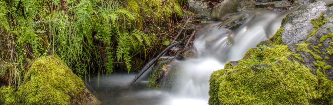 Waterfall cacading through Pacheco Valley Preserve