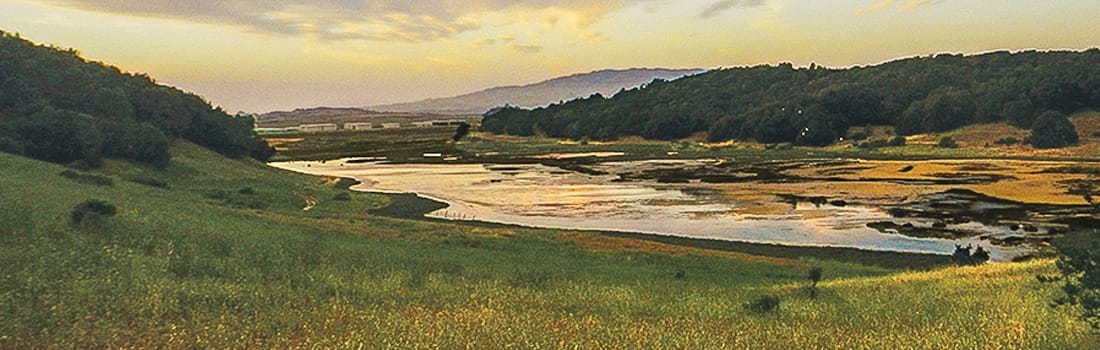 Scenic overview of Rush Creek Preserve and surrounding marshland
