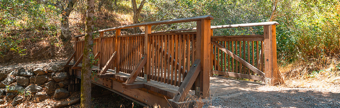 Wooden bridge on Eagle Rock Trail in Terra Linda/Sleepy Hollow Preserve