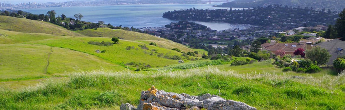 Outlook at Tiburon Ridge over the San Francisco Bay