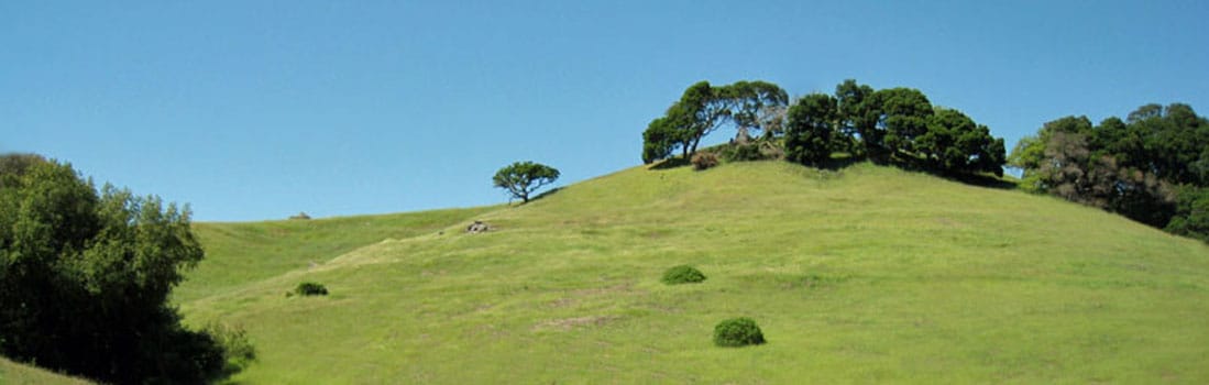 Oak-dotted Verissimo Hills