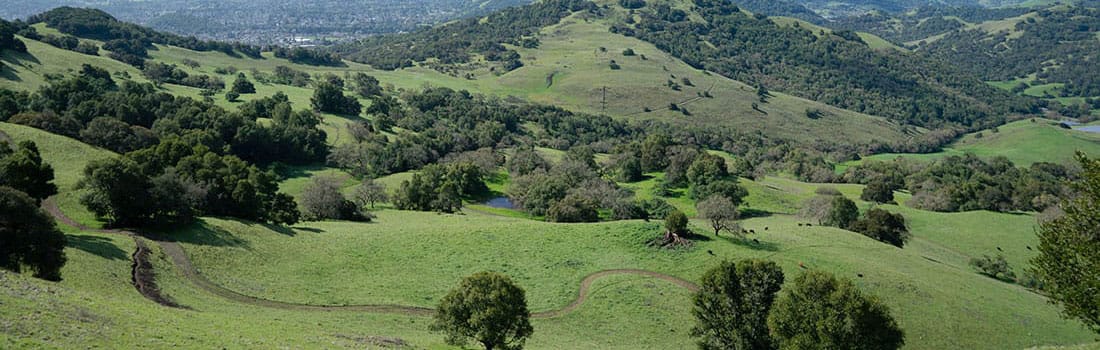 Arial view of Eagle Rim Trail