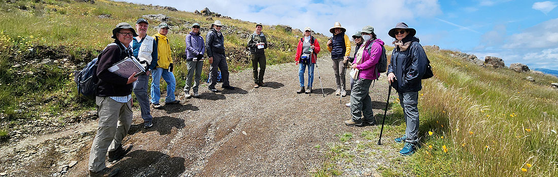 Group of docents standing on a hillside