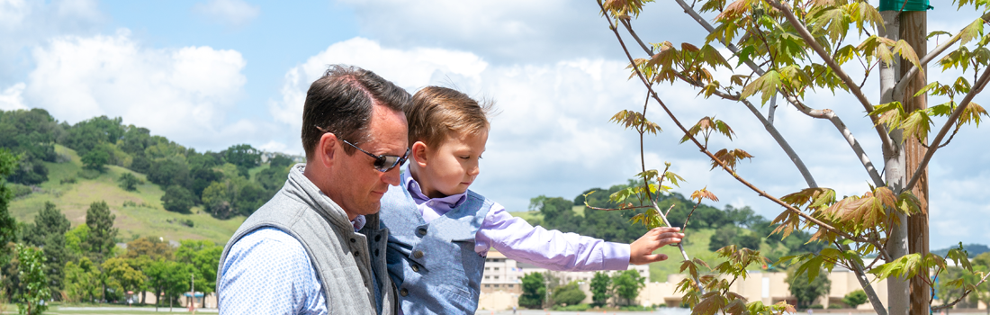 Father holding a young boy who is reaching out to a tree